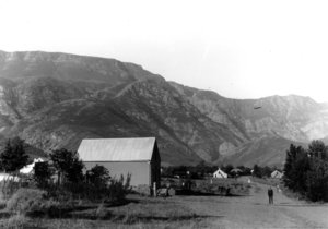 Herbert Vigne - The Father of Greyton